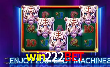 Game shows ao vivo